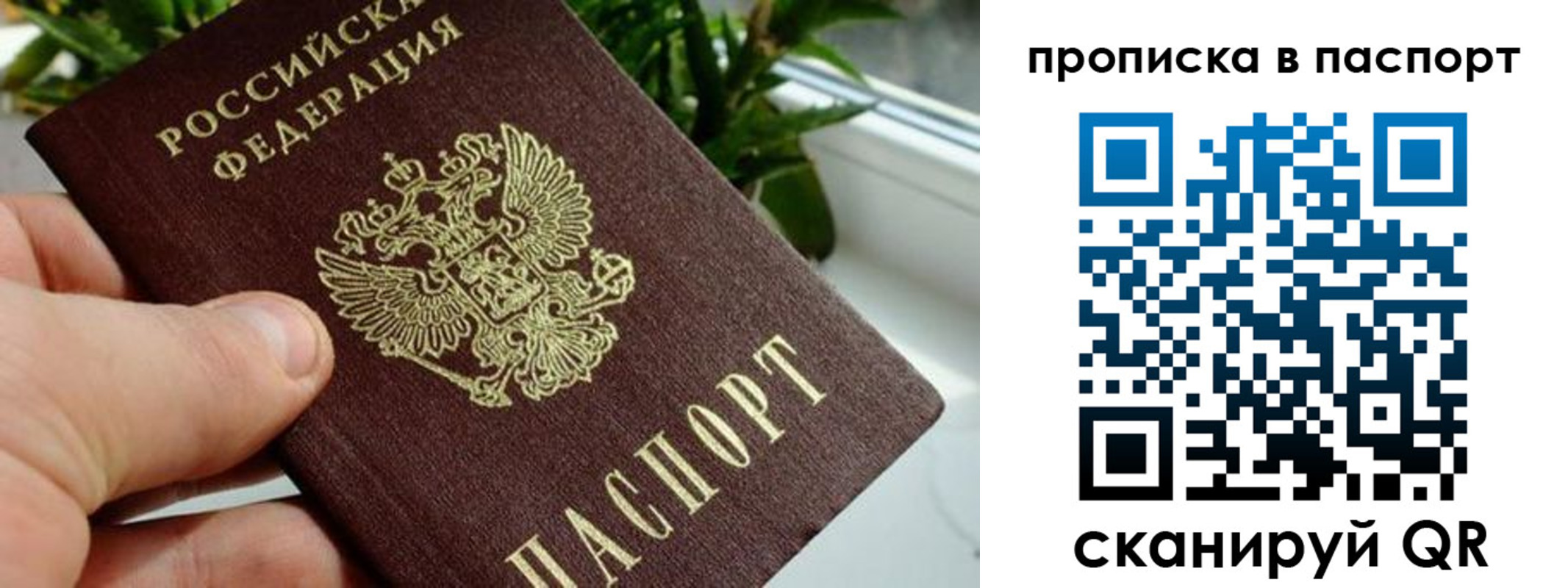 пропишу в квартире в Бикине